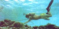 
Many important environmental discoveries have been made by the Cousteau family.
